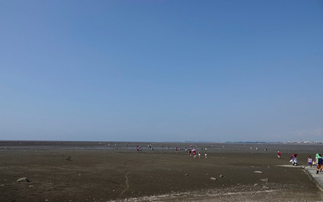 新竹香山包車旅遊-香山濕地