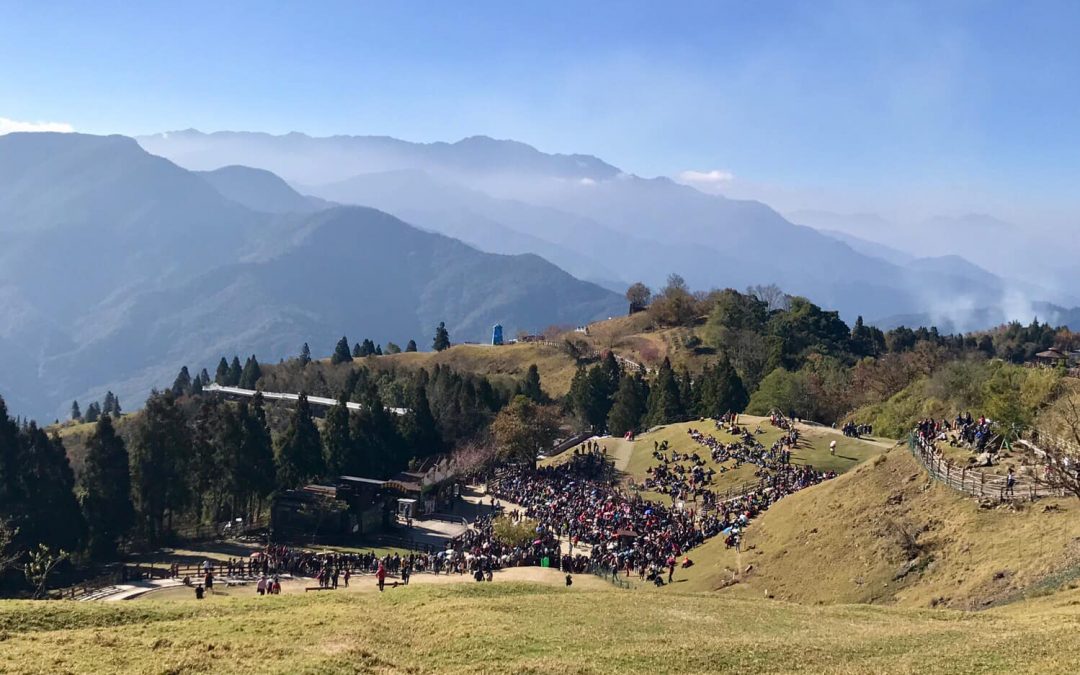 南投清境包車旅遊-清境農場