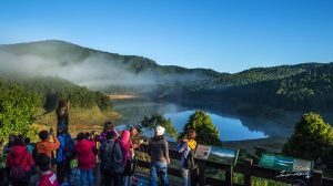 晴懷古步道,太平山翠峰湖,宜蘭太平山旅遊包車,宜蘭太平山蹦蹦車