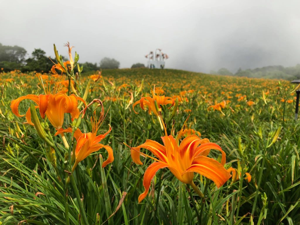 花蓮縣玉里鎮赤柯山,花蓮花東縱谷一日遊,花蓮親水斷崖,花蓮瑞穗農場,花蓮光復糖廠