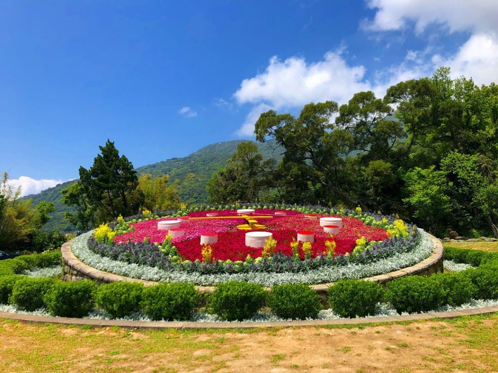 台北包車,陽明山一日包車,陽明山包車,陽明山賞花包車