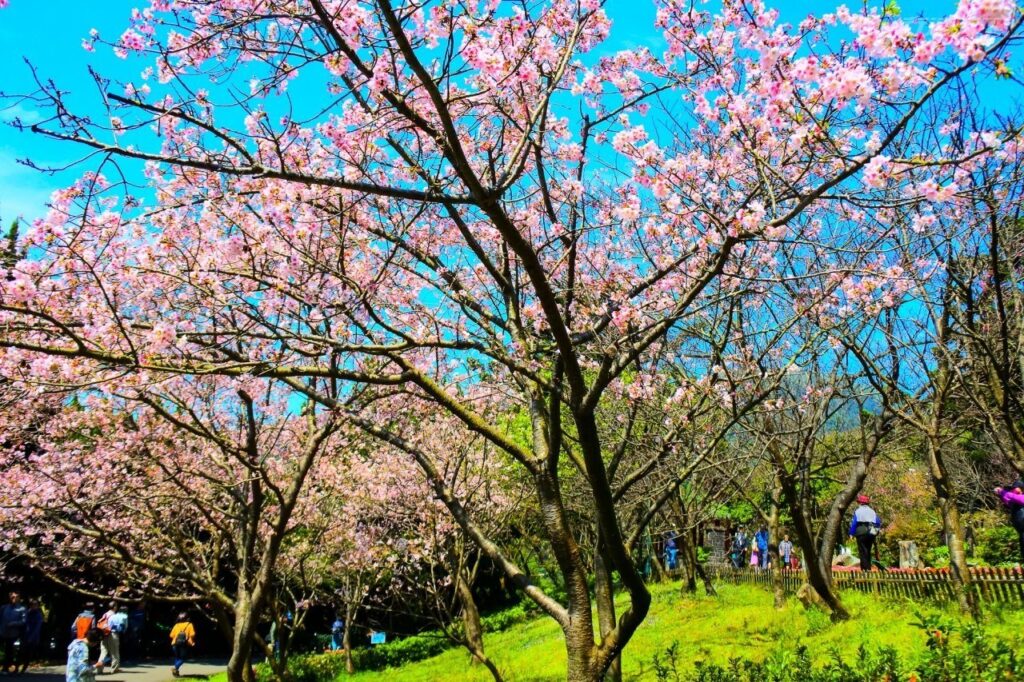 台北包車,新北包車旅遊,新北旅遊包車,南雅奇岩,陰陽海,九份老街,台北七人座包車,台北九人座包車,台北保母車包車