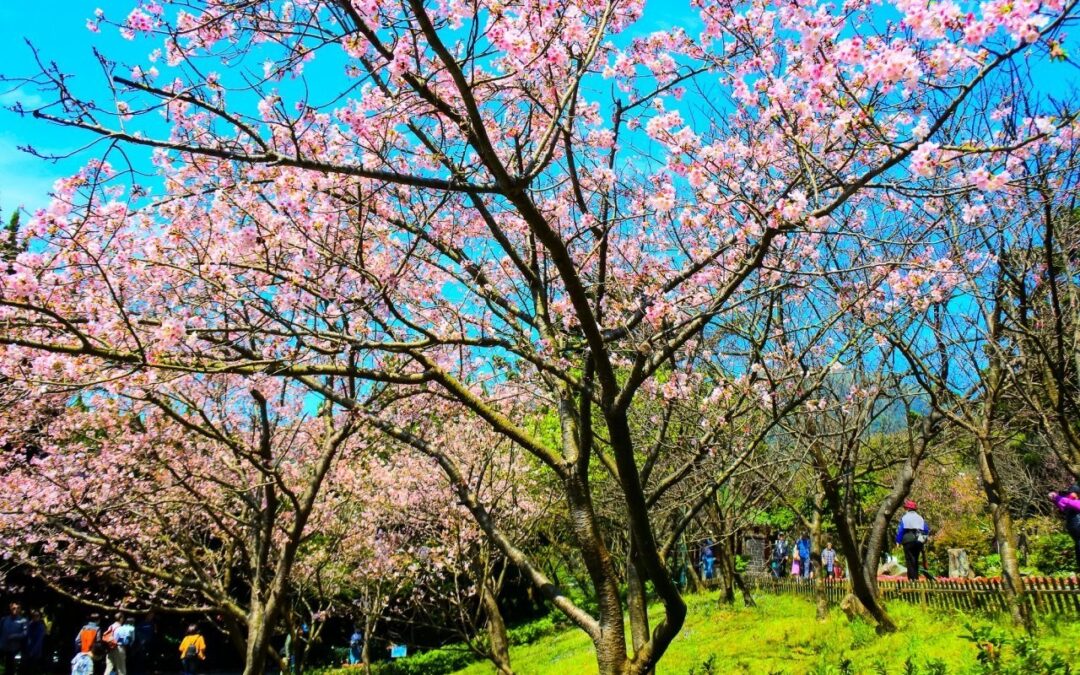 台北包車,新北包車旅遊,新北旅遊包車,南雅奇岩,陰陽海,九份老街,台北七人座包車,台北九人座包車,台北保母車包車