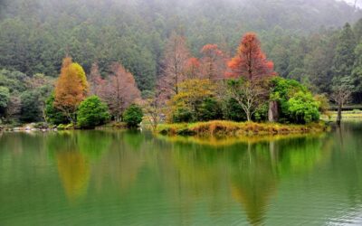 宜蘭包車旅遊自由行