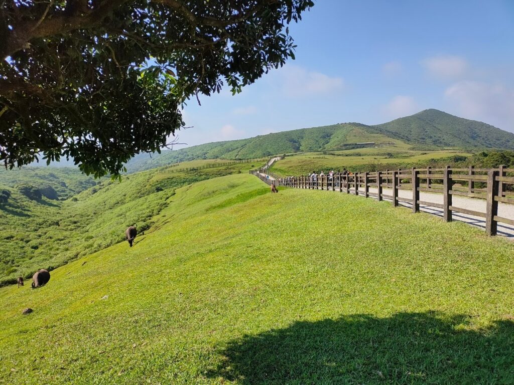 台北陽明山包車