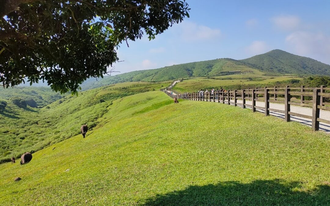 台北陽明山包車