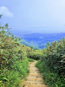 抹茶山,台北包車,新北包車,十份包車,九份包車,野柳包車,宜蘭包車旅遊,宜蘭包車,礁溪旅遊包車,宜蘭包車旅遊,聖母登山步道,宜蘭旅遊包車